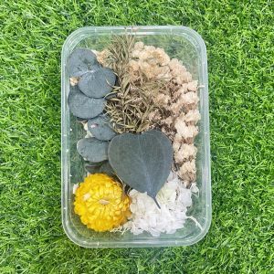 Off white dry flower (1 box)