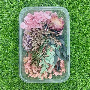 Baby pink dry flower (1 box)
