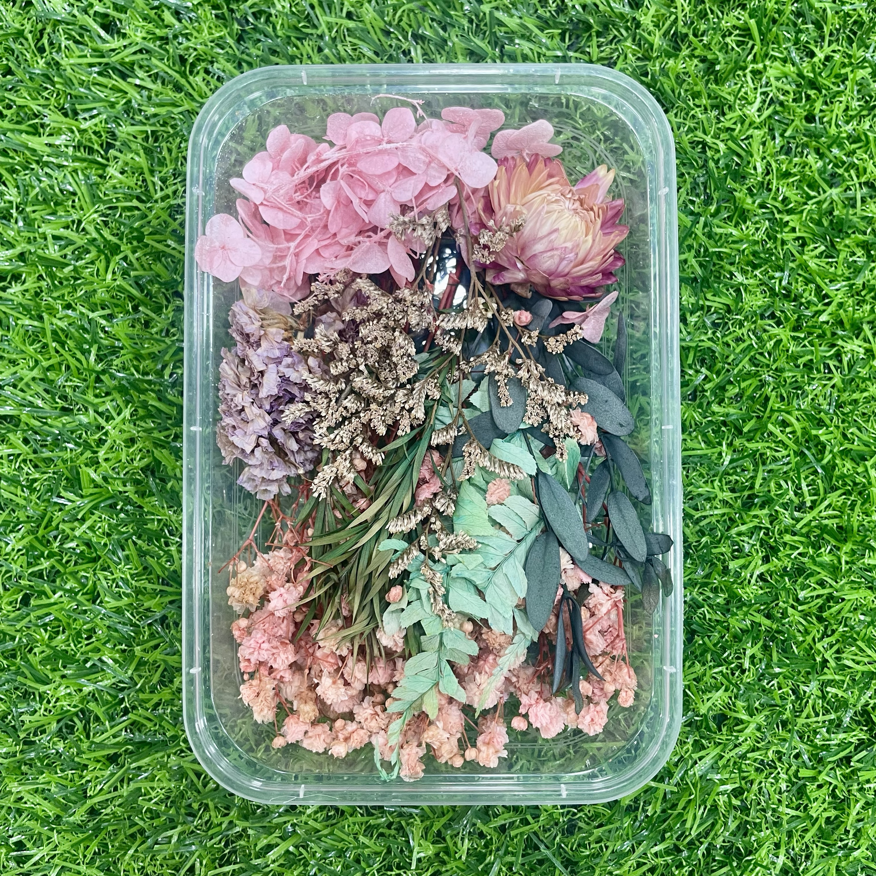 Baby pink dry flower (1 box)