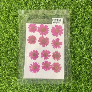 Dark pink Daisy Flower Sheet