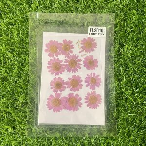 Light pink Daisy Flower Sheet