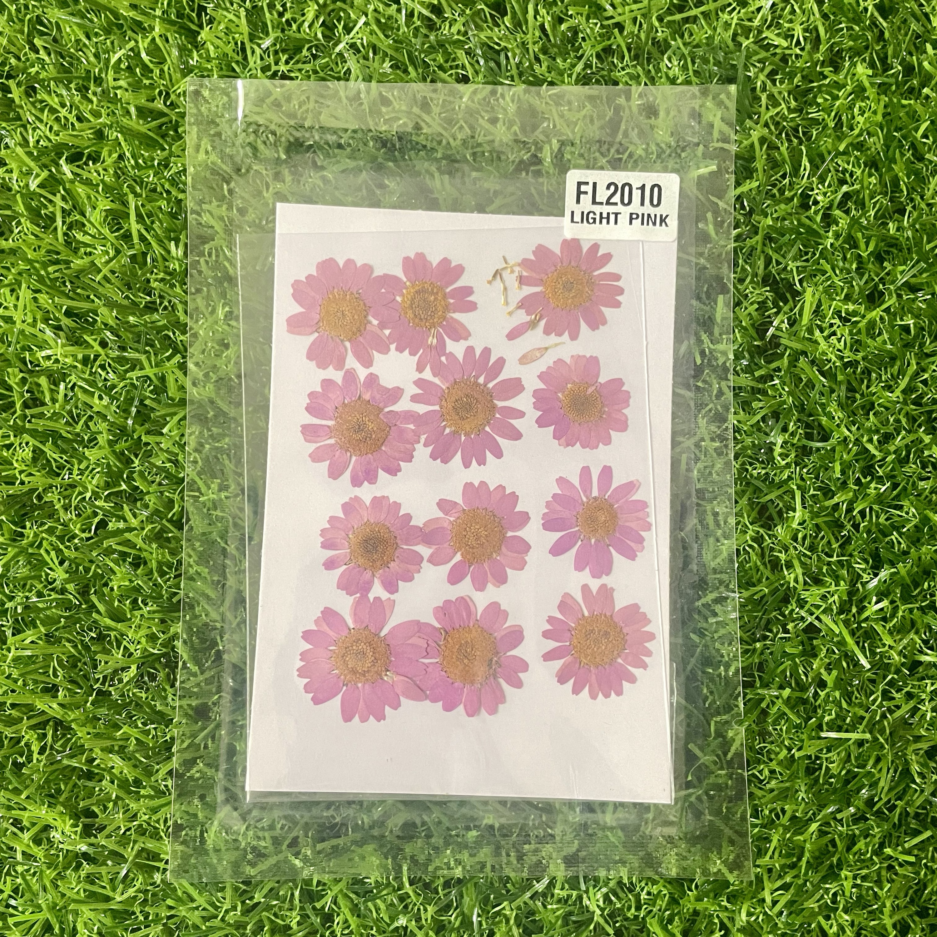 Light pink Daisy Flower Sheet