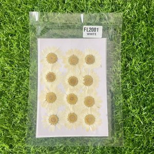 Off white Daisy Flower Sheet