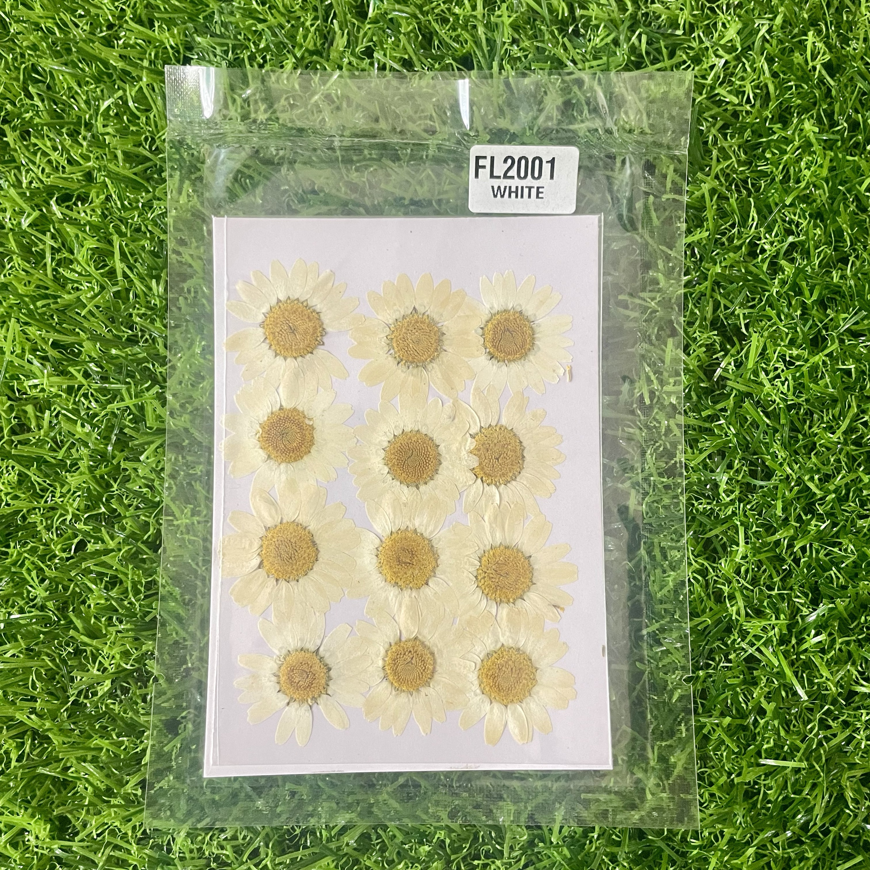 Off white Daisy Flower Sheet