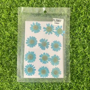 Light blue Daisy Flower Sheet