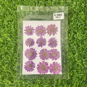 Purple Daisy Flower Sheet