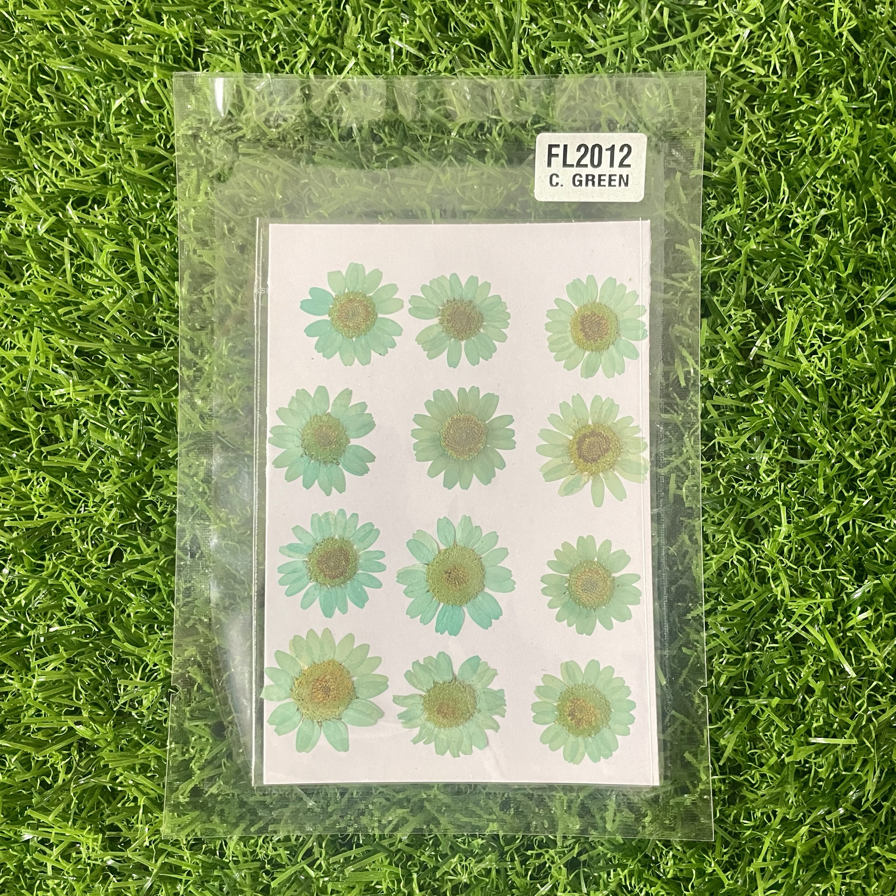 Green Daisy Flower Sheet