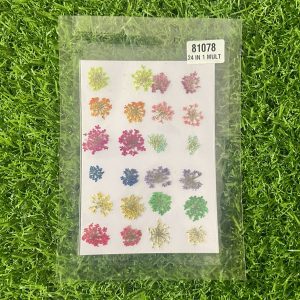 Queen Breath Dry Flower