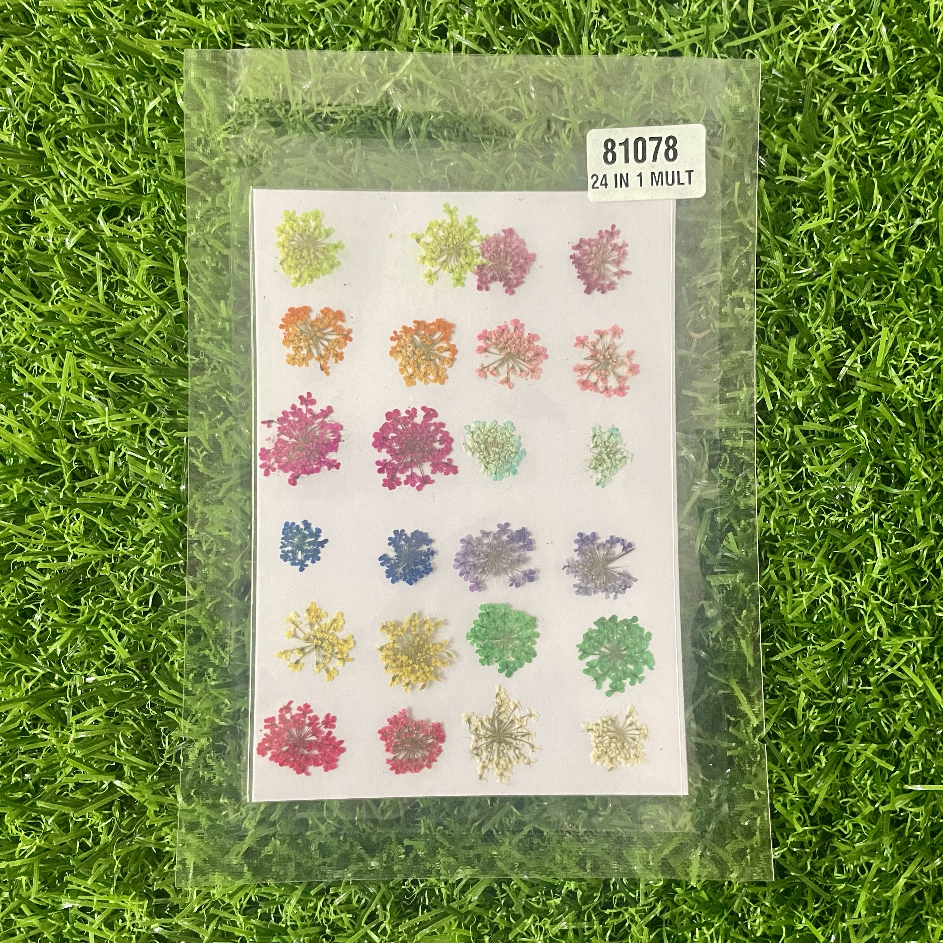 Queen Breath Dry Flower