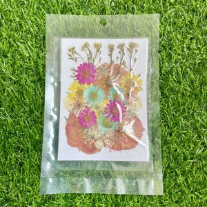 Pressed flower sheet (code-H)
