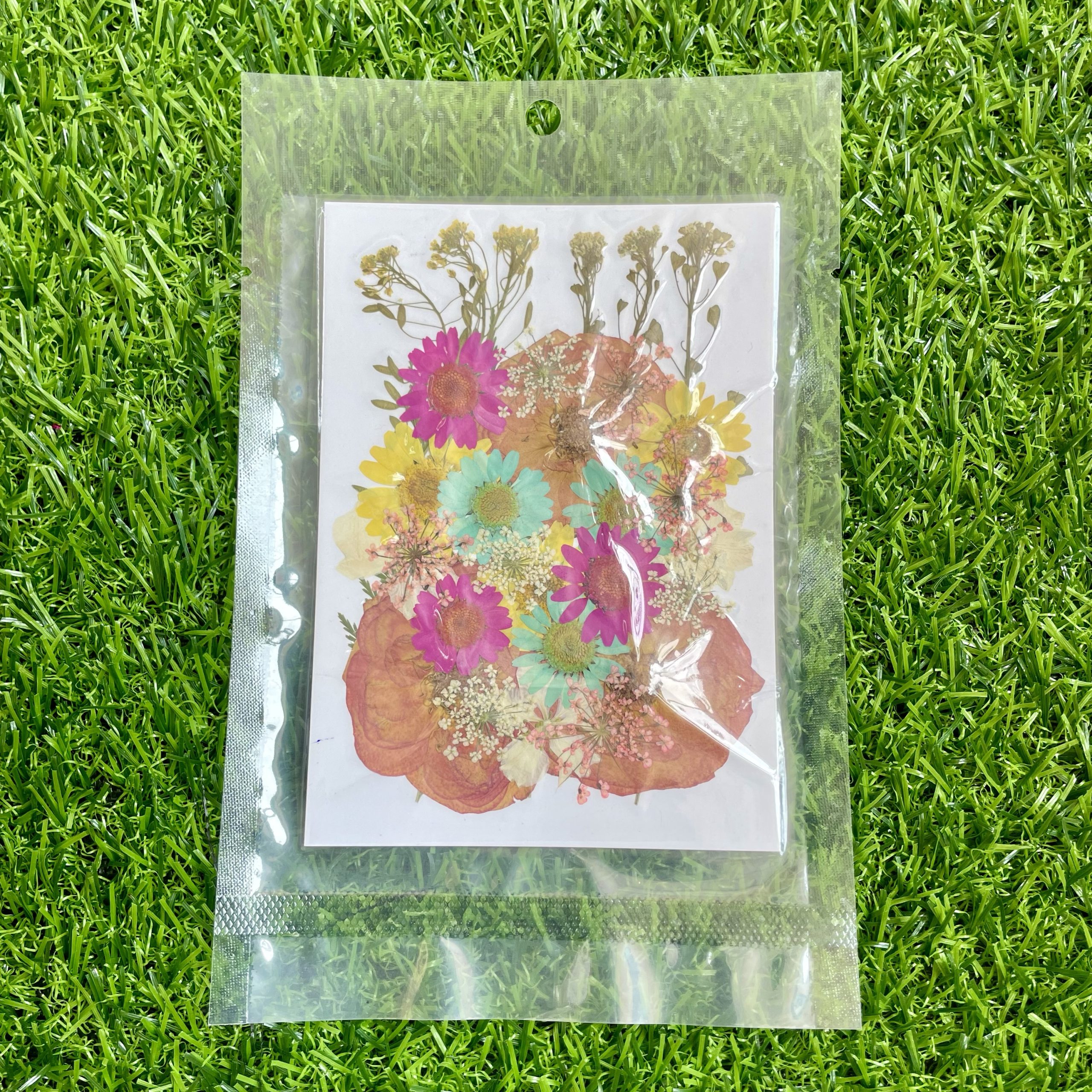Pressed flower sheet (code-H)