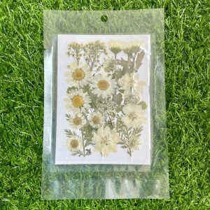 Pressed flower sheet (code-F)