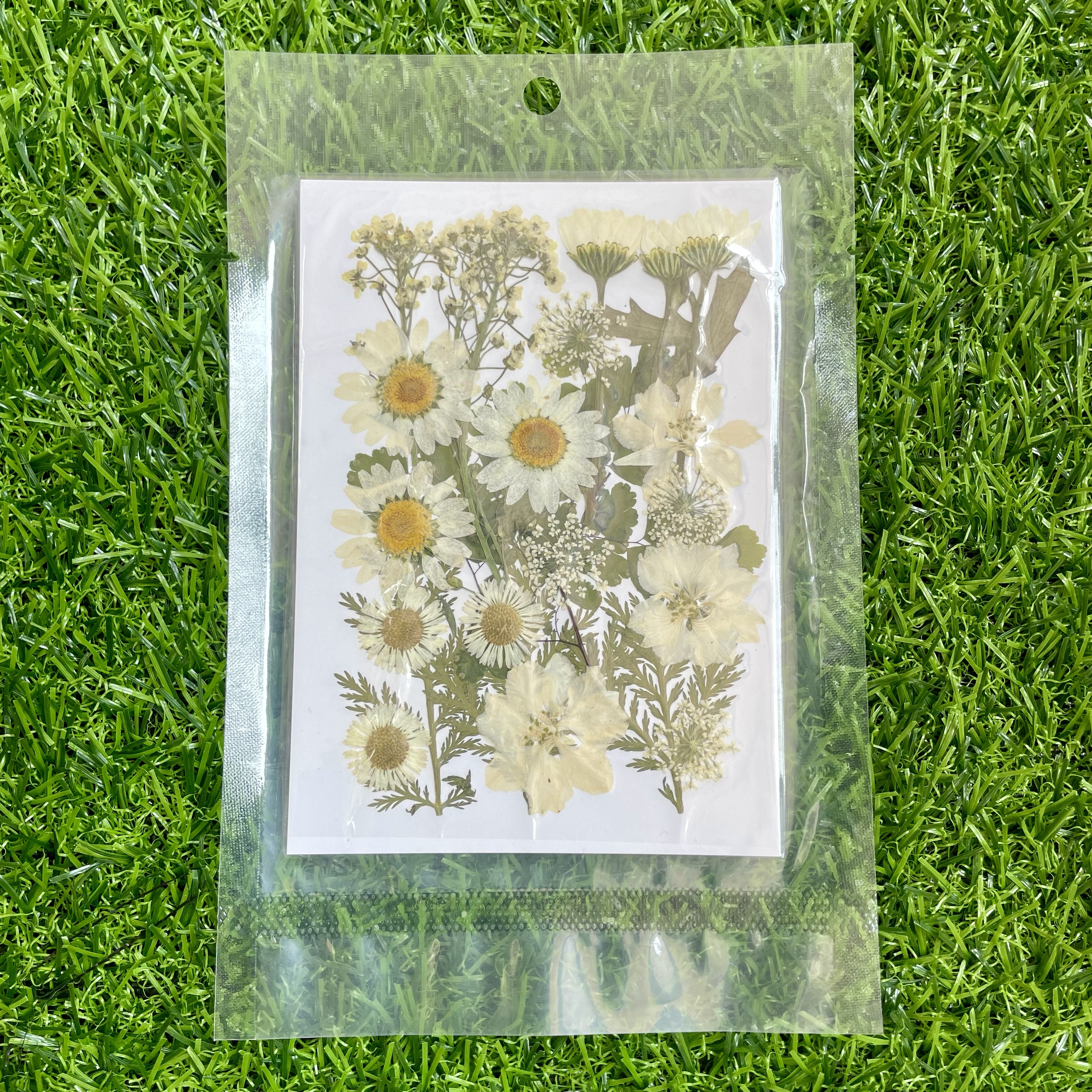 Pressed flower sheet (code-F)