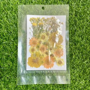 Pressed flower sheet (code-E)