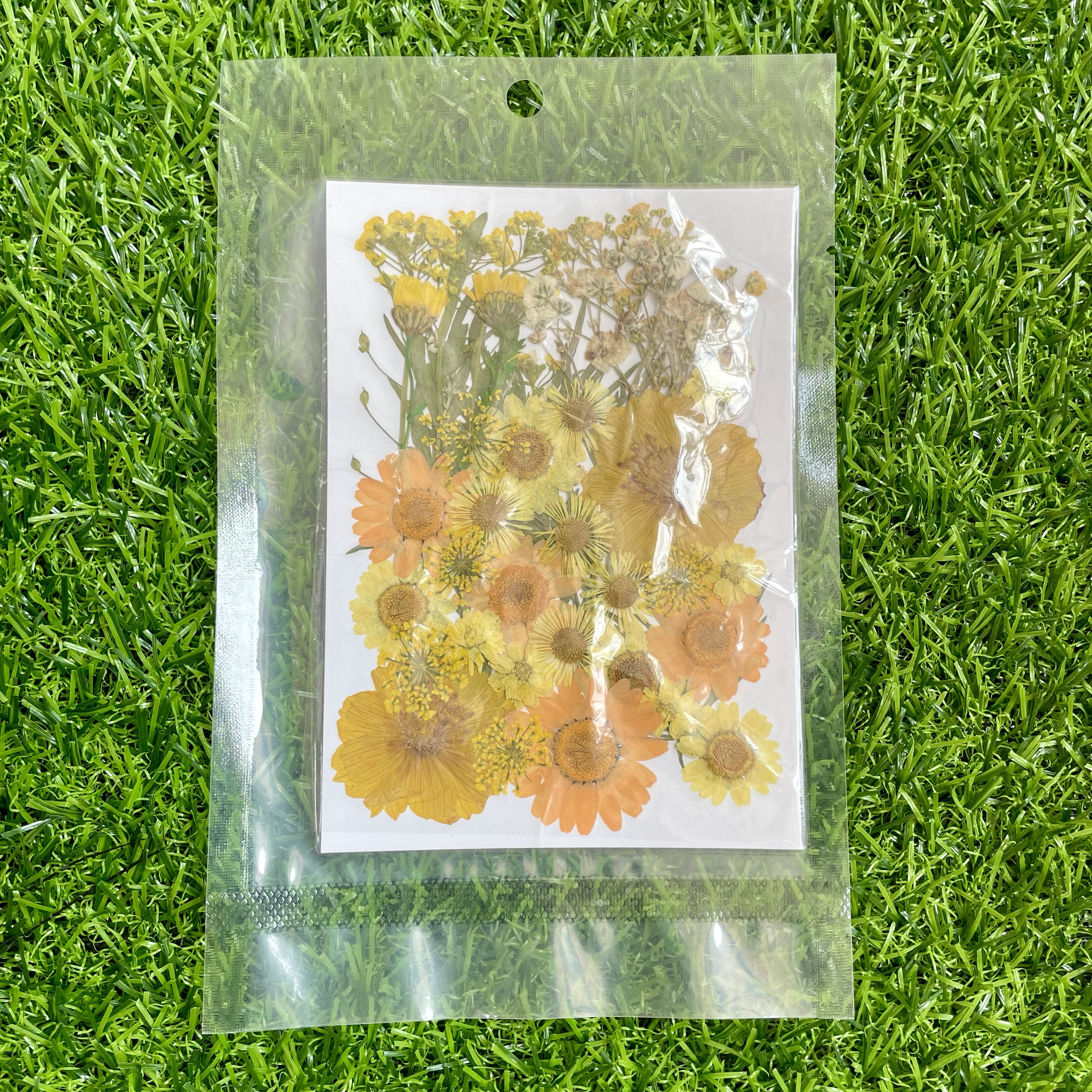 Pressed flower sheet (code-E)