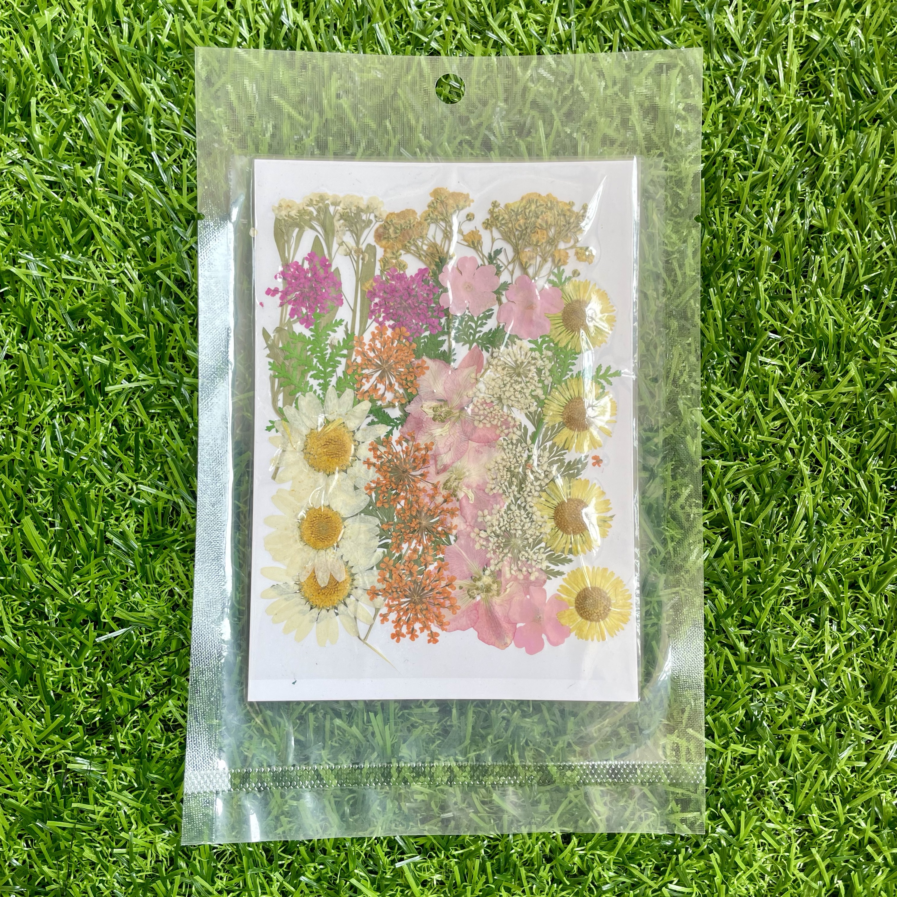 Pressed flower sheet (code-D)