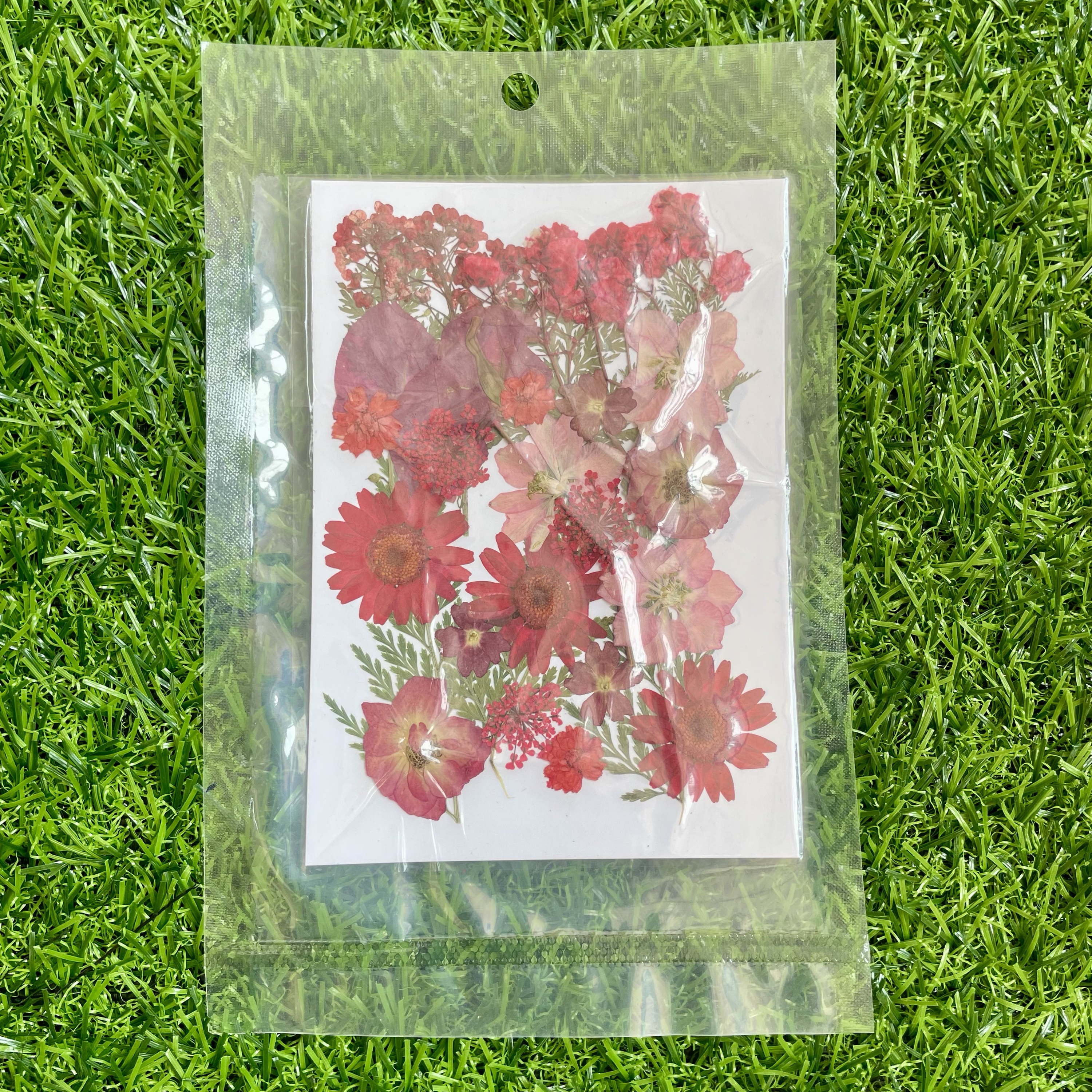 Pressed flower sheet (code-C)