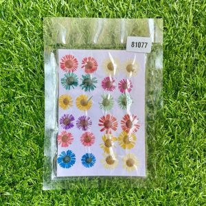 Mini sunflowers Flower sheet