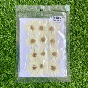 Big Daisy Flower sheet