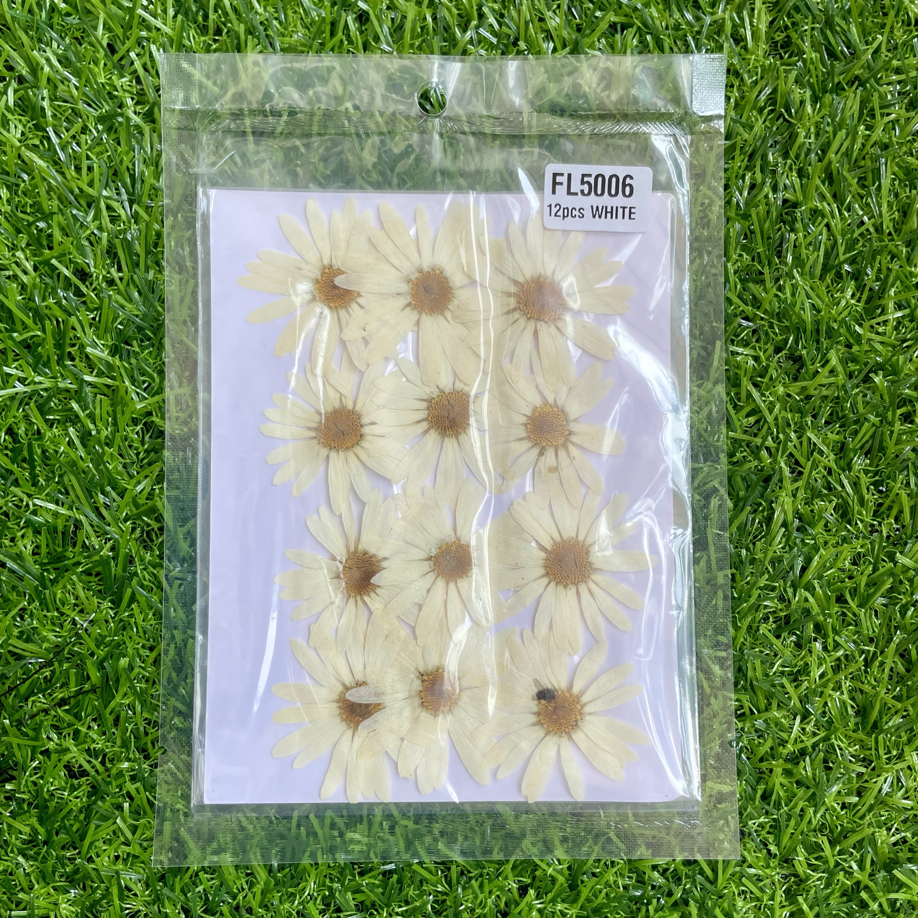 Big Daisy Flower sheet