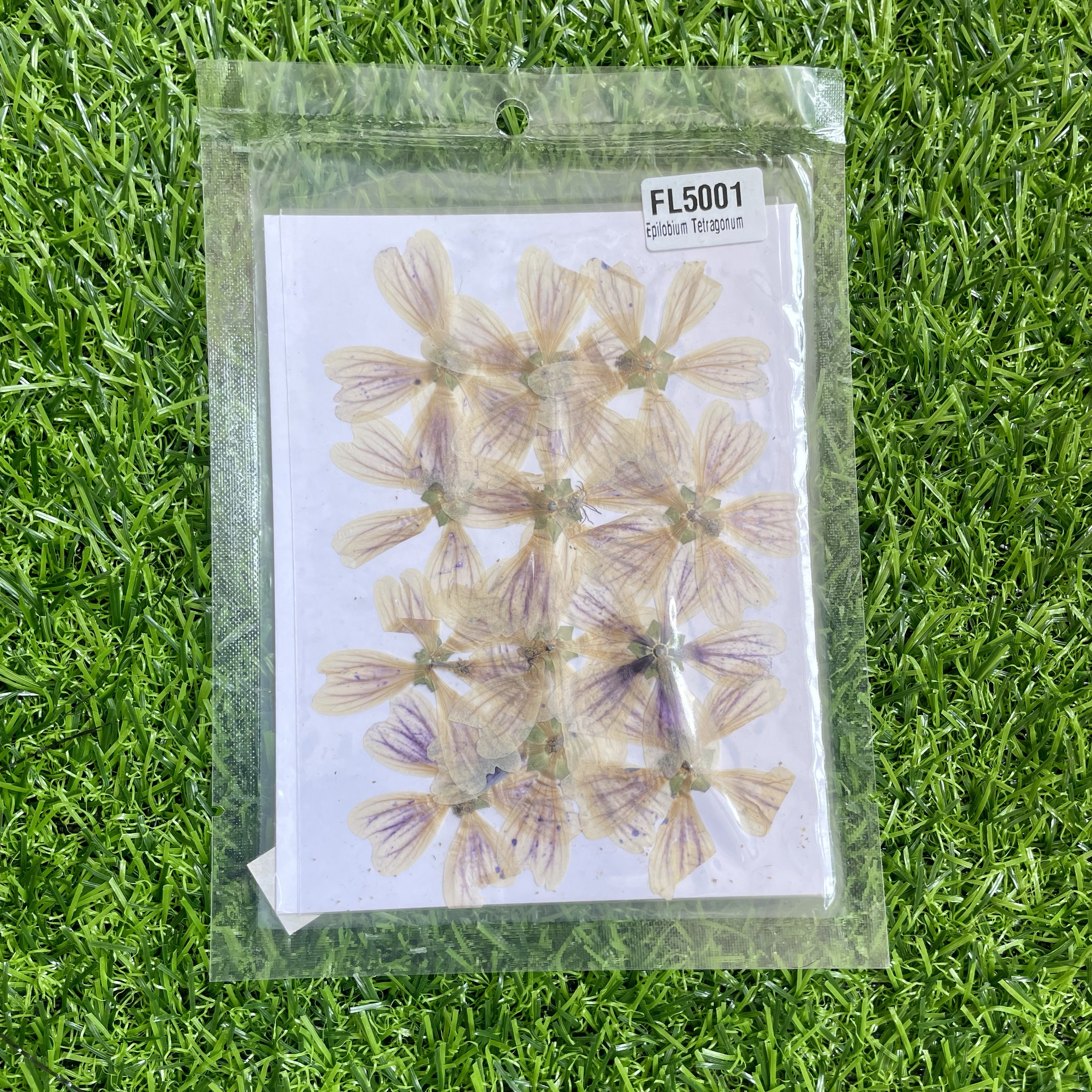 Epilobium Flower sheet