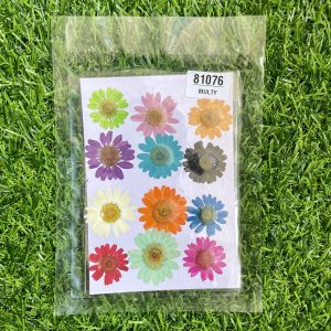 Multi Daisy Flower sheet