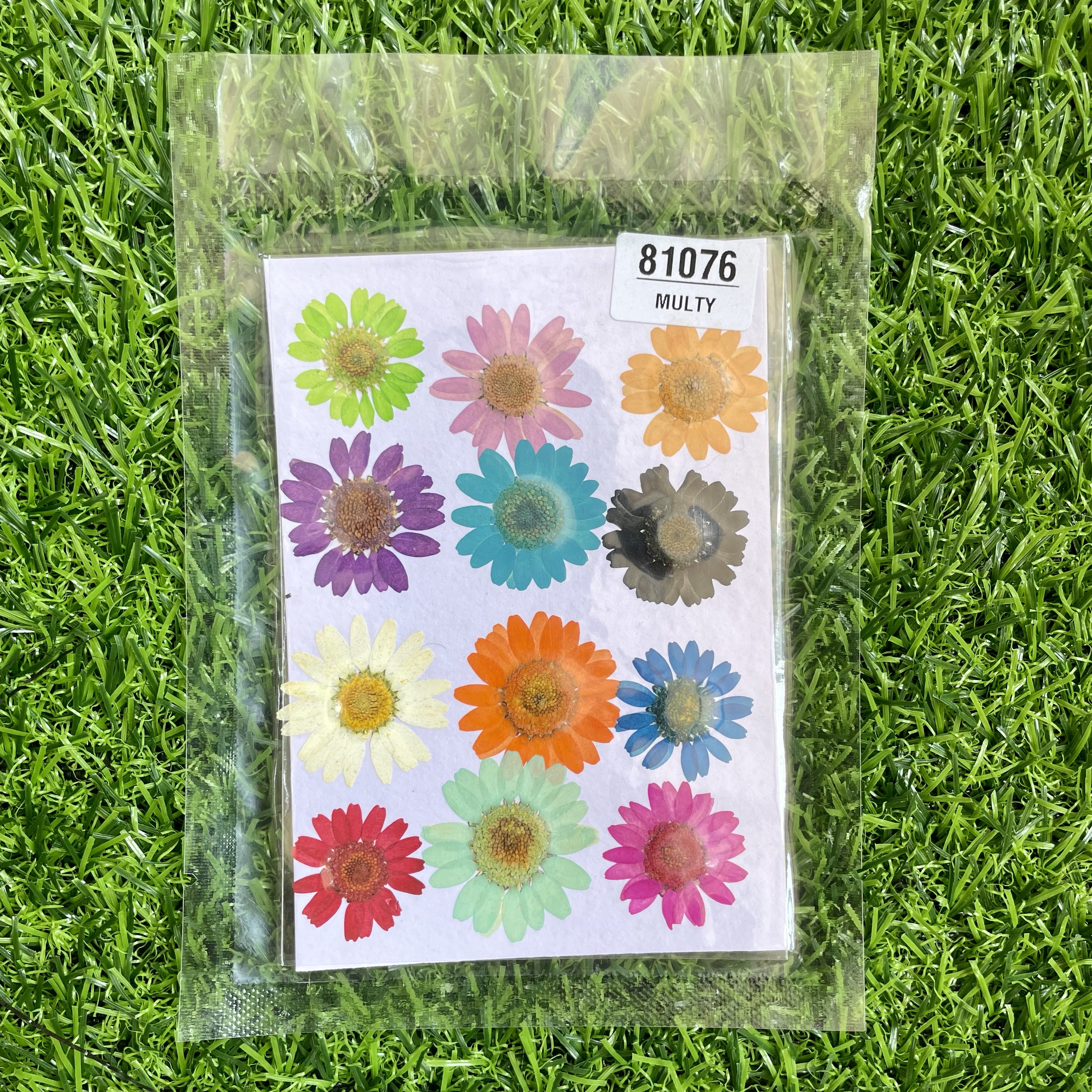 Multi Daisy Flower sheet