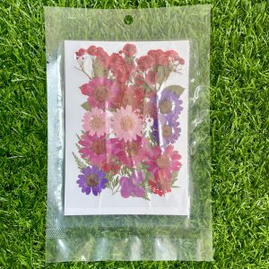 Pressed flower sheet (code-B)