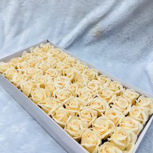 Scented rose flower orange colour