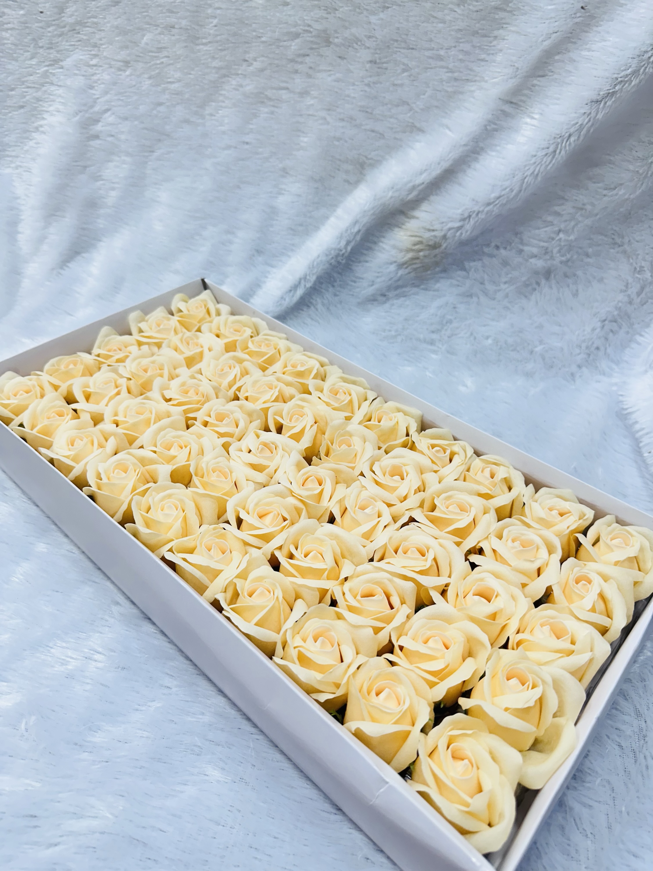 Scented rose flower orange colour