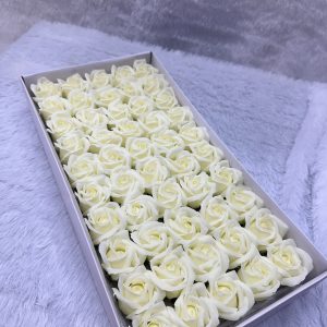 Scented rose flower white colour