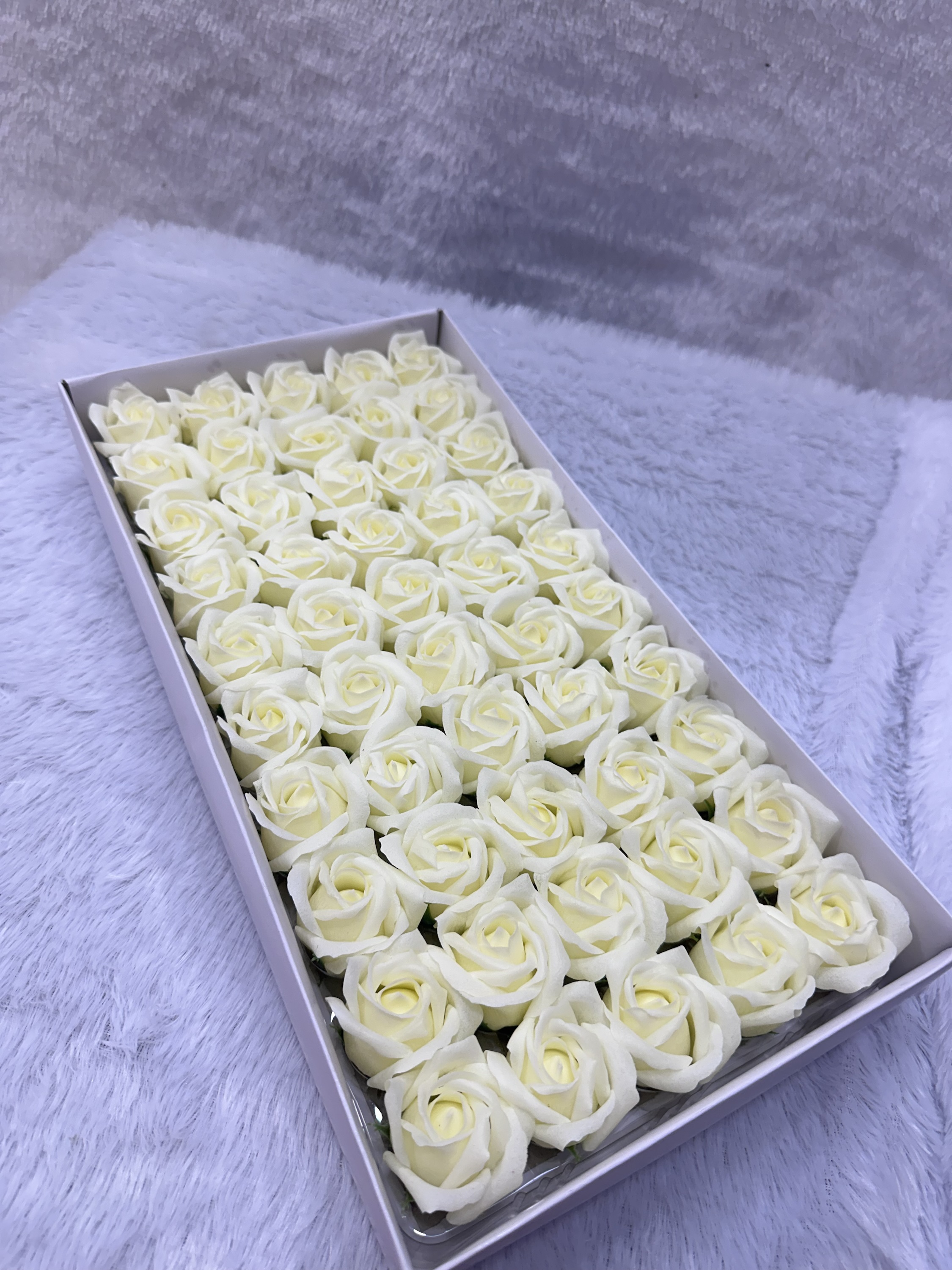 Scented rose flower white colour