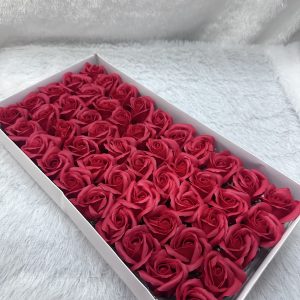 Scented rose flower red colour