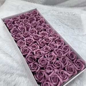 Scented rose flower pink colour