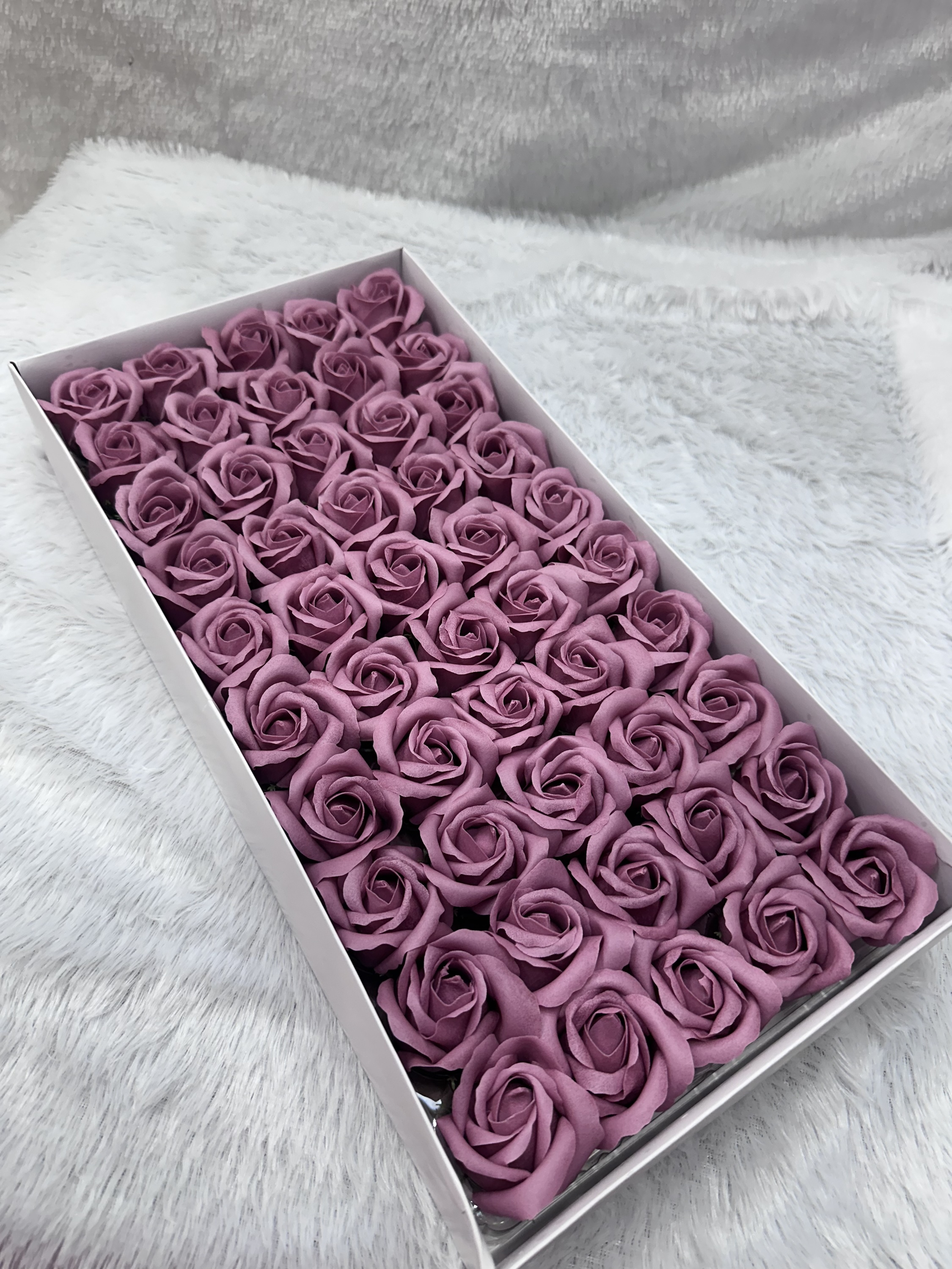Scented rose flower pink colour